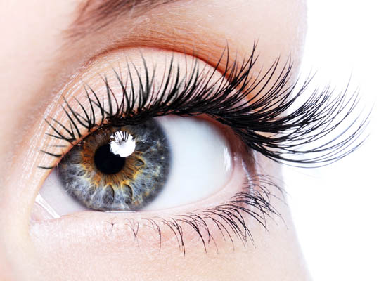 Eyelash cosmetic outlet